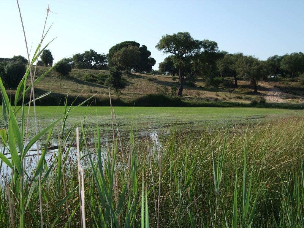 Herdades Da Ameira - Monte Do Arrozal Alcácer do Sal Værelse billede